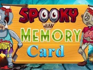 Picture Pair Memory Challenge