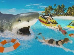 Coastal Swim Adventure