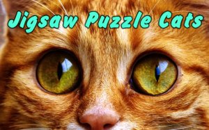 Jigsaw Puzzle Cats Online Game