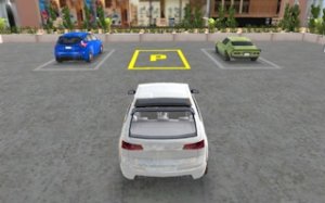 Precision Parking Challenge