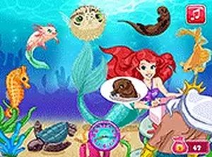 Mermaid Pet Shop Online Game