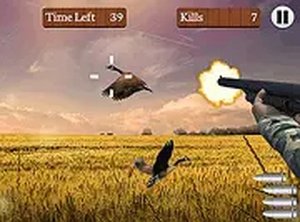 Feathered Flight Catch Game