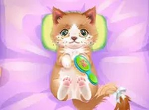 ASMR Kitty Treatment Online Game